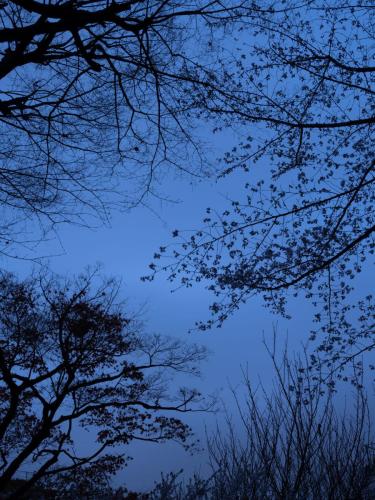 Aube bleue